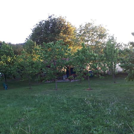 בית הארחה Gilău 	Casa Cionca מראה חיצוני תמונה