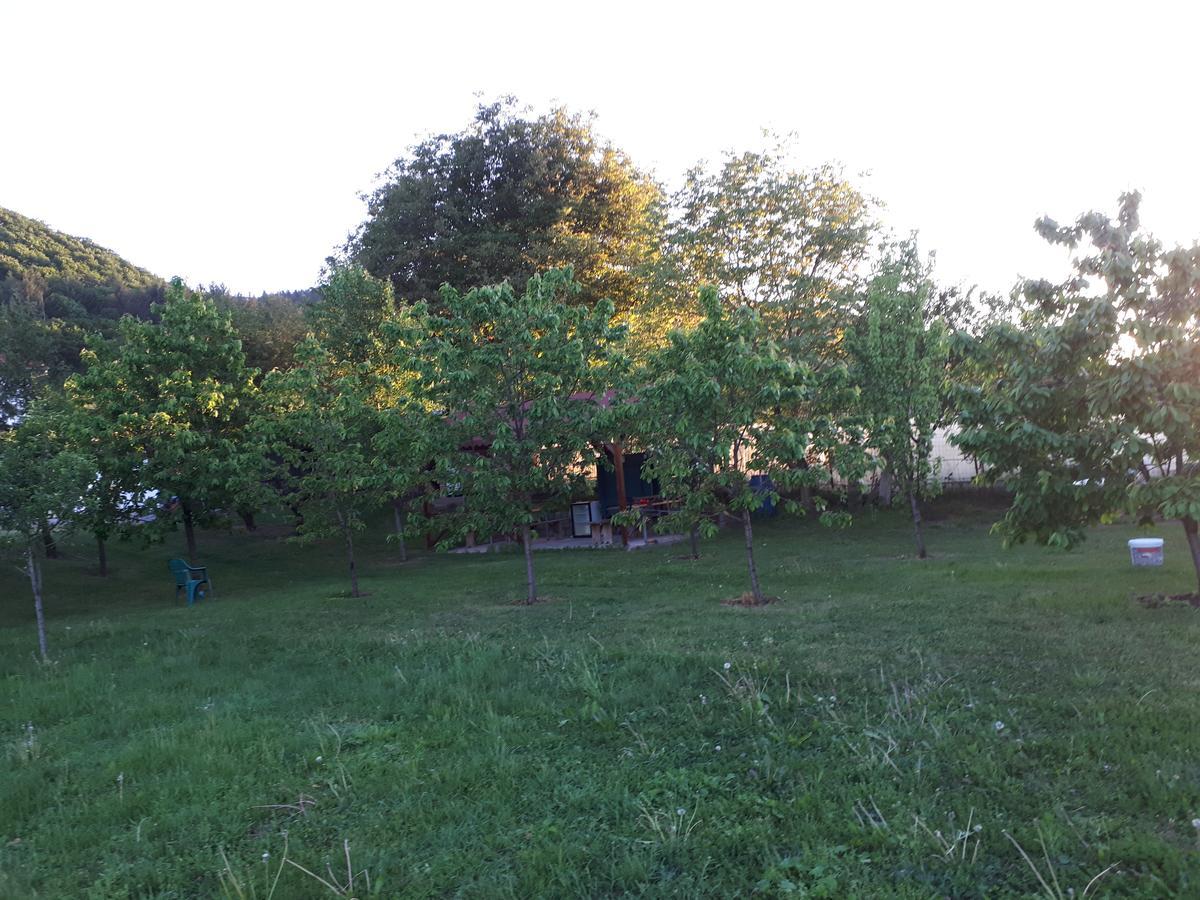 בית הארחה Gilău 	Casa Cionca מראה חיצוני תמונה